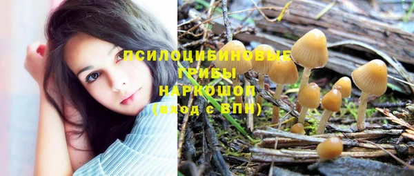 тгк Пролетарск