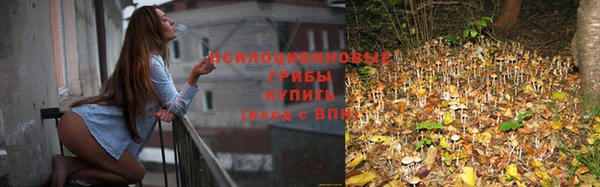 стаф Покров