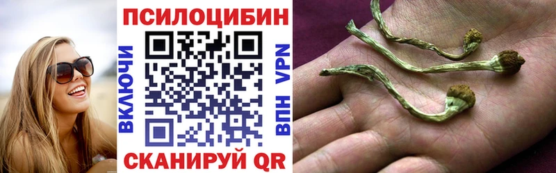 Купить закладки  Барыш  Галлюциногенные грибы GOLDEN TEACHER 